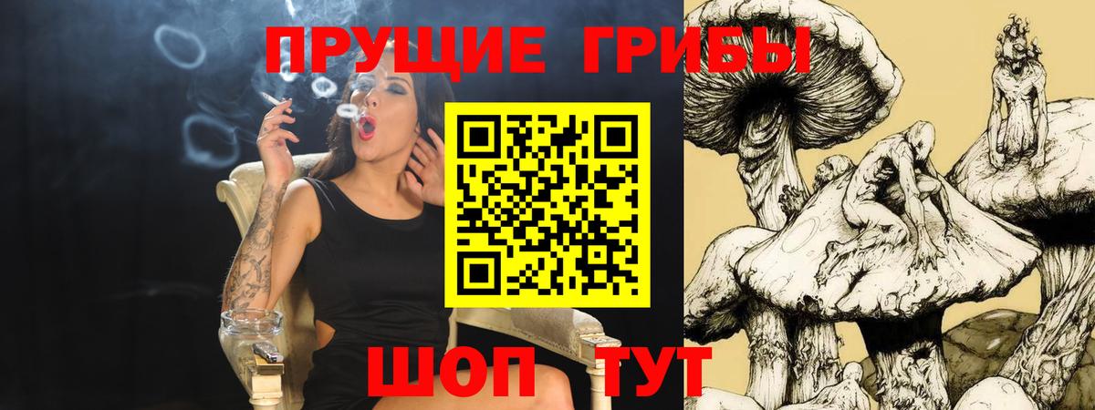 Галлюциногенные грибы прущие грибы Людиново